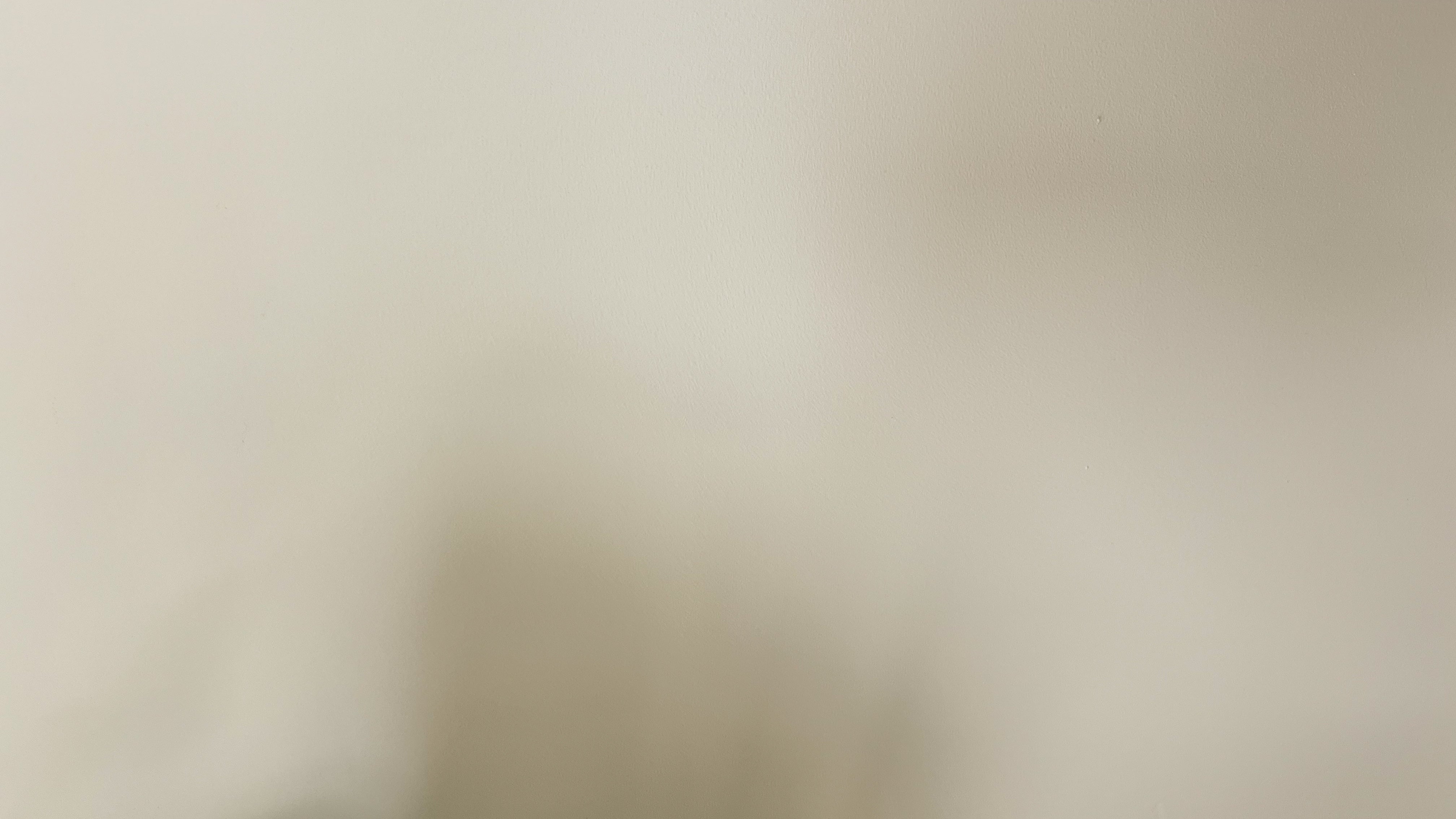 Vest Collection "Wild Things"